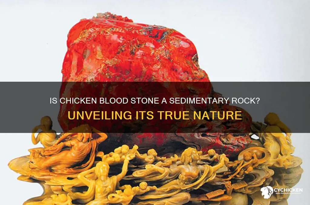 is chicken blood stone a sedimentary rock