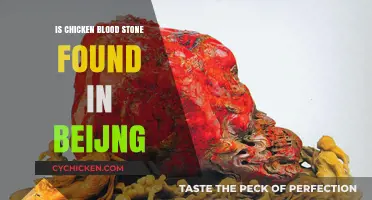 Exploring Beijing's Chicken Blood Stone: Myth or Reality?