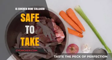 Is Chicken Bone Collagen Safe? Benefits, Risks, and Usage Guide