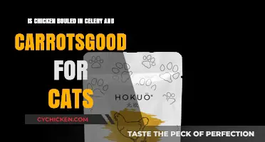 Celery, Carrots, and Chicken: A Healthy Cat Treat?