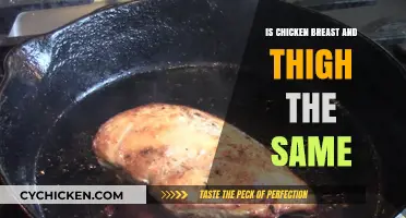Chicken Breast vs. Thigh: Are They the Same? Key Differences Explained
