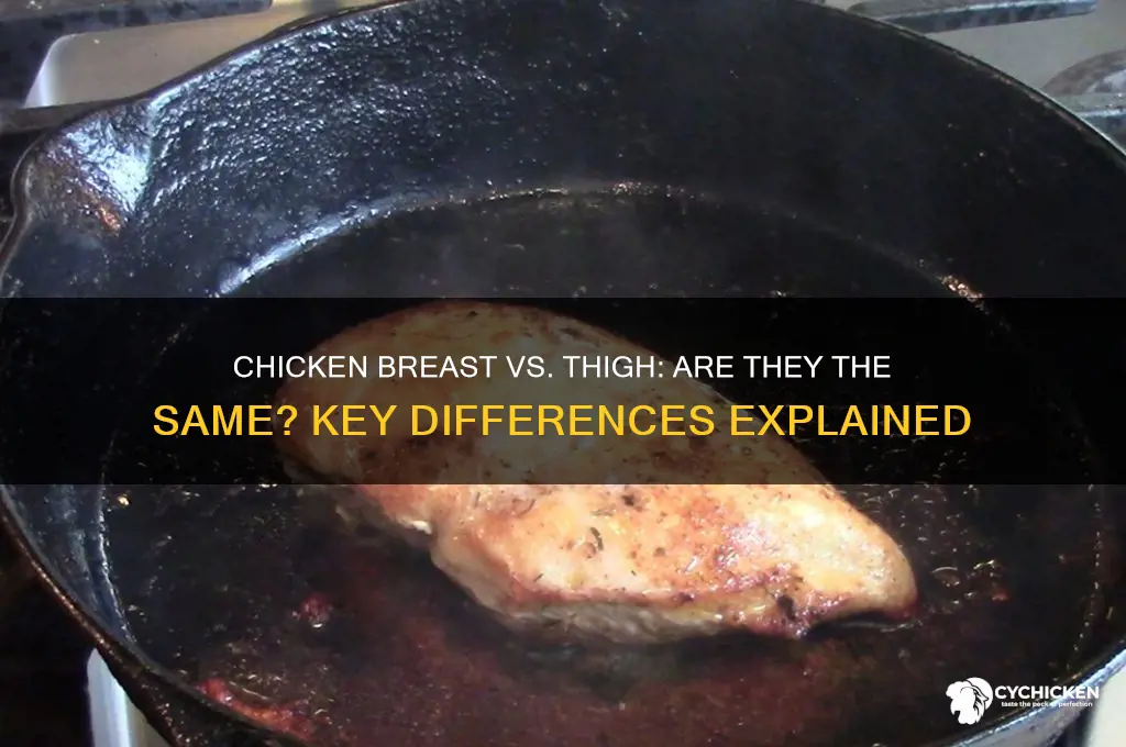 is chicken breast and thigh the same