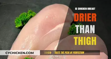 Chicken Breast vs. Thigh: Which Cut is Drier?