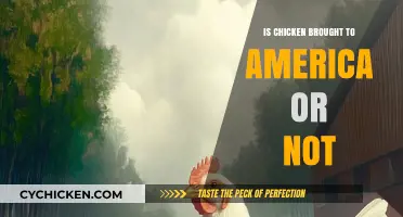 The Surprising History of Chicken's Arrival in America: Fact or Fiction?