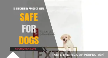Is Chicken By-Product Meal Safe for Dogs? Facts Revealed