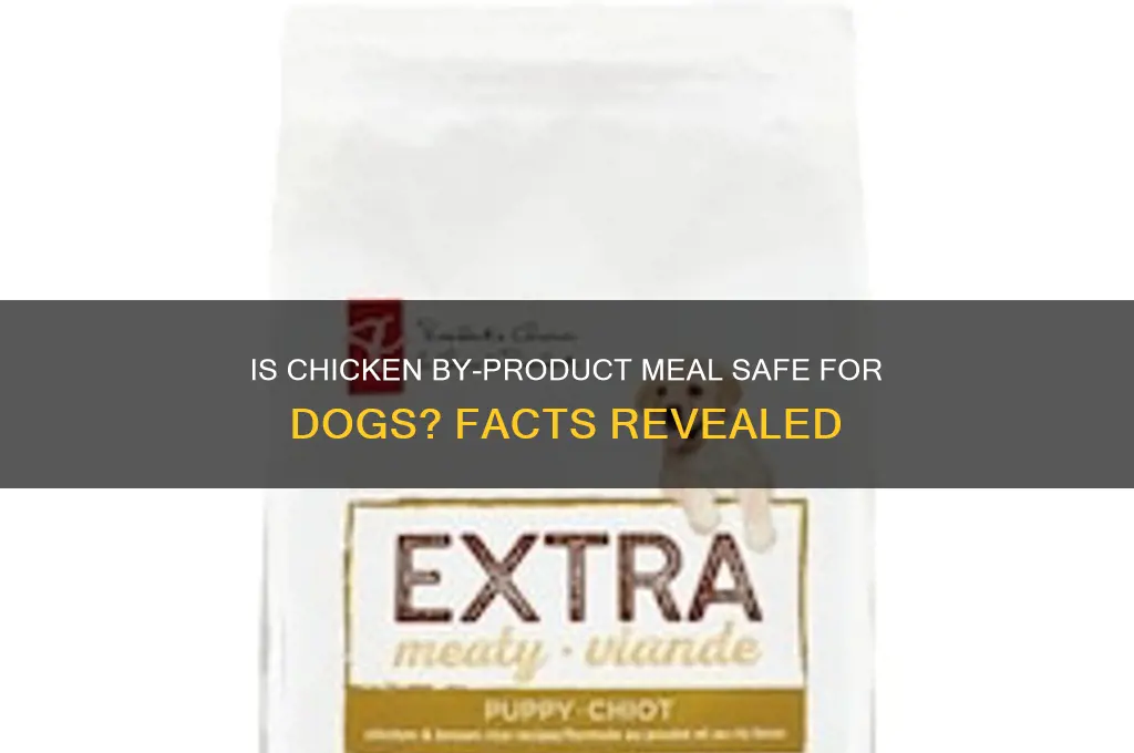 is chicken by product meal safe for dogs