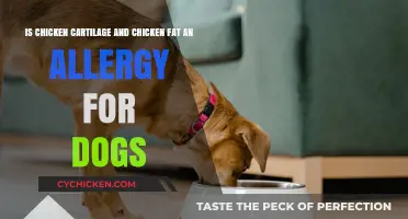 Chicken Cartilage and Fat: Allergies in Dogs
