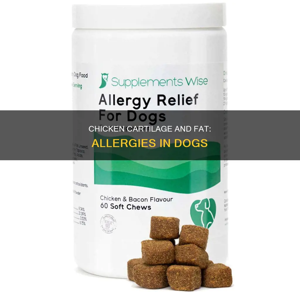 is chicken cartilage and chicken fat an allergy for dogs