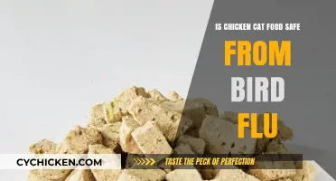 Is Chicken-Based Cat Food Safe Amid Bird Flu Concerns?