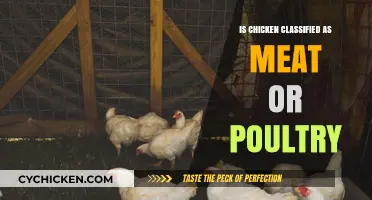 Is Chicken Meat or Poultry? Understanding Food Classification Basics