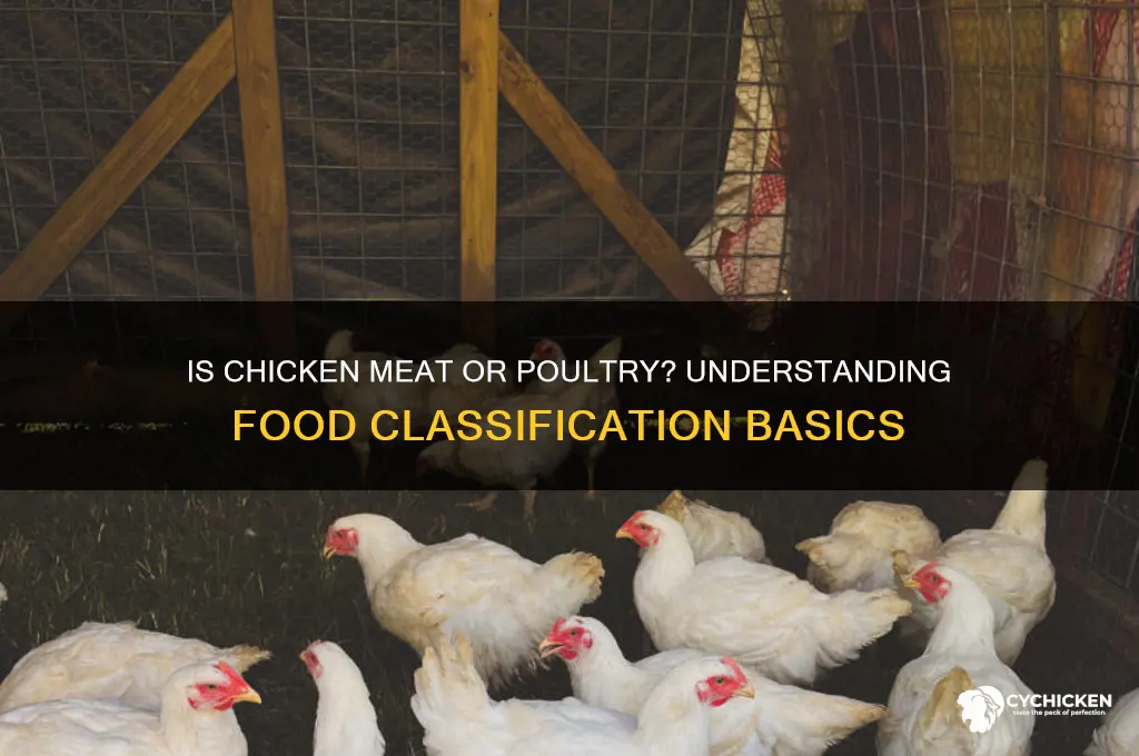 is chicken classified as meat or poultry