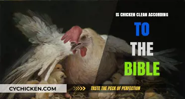 Biblical Insights: Is Chicken Considered Clean According to Scripture?