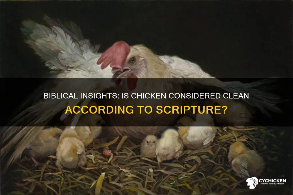 is chicken clean according to the bible