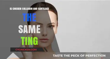Chicken Collagen vs. Cartilage: Understanding the Key Differences