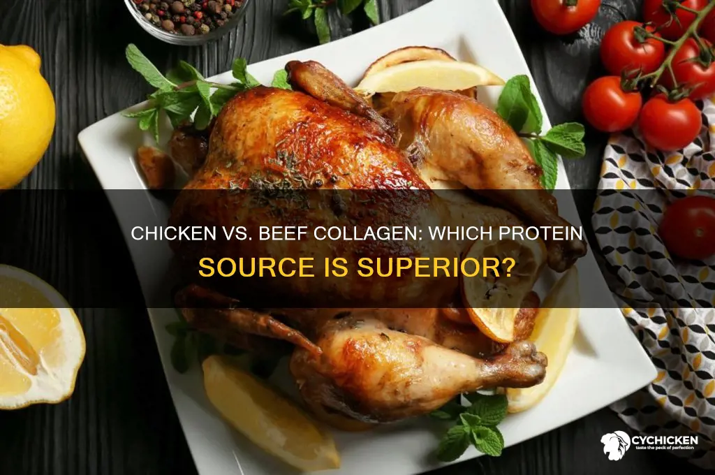 is chicken collagen better than beef collagen