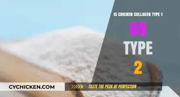 Chicken Collagen: Understanding Type 1 vs. Type 2 Benefits and Uses