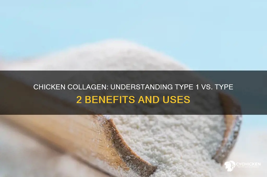 is chicken collagen type 1 or type 2