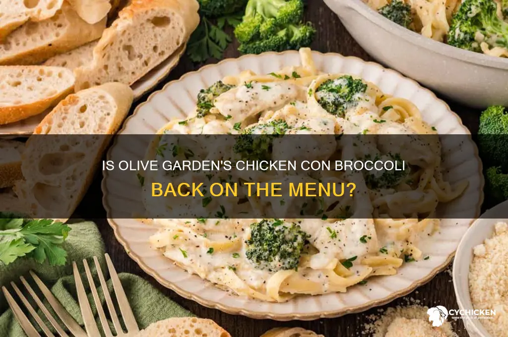 is chicken con broccoli back at olive garden