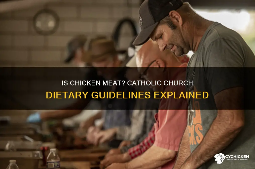 is chicken considered meat by the catholic church