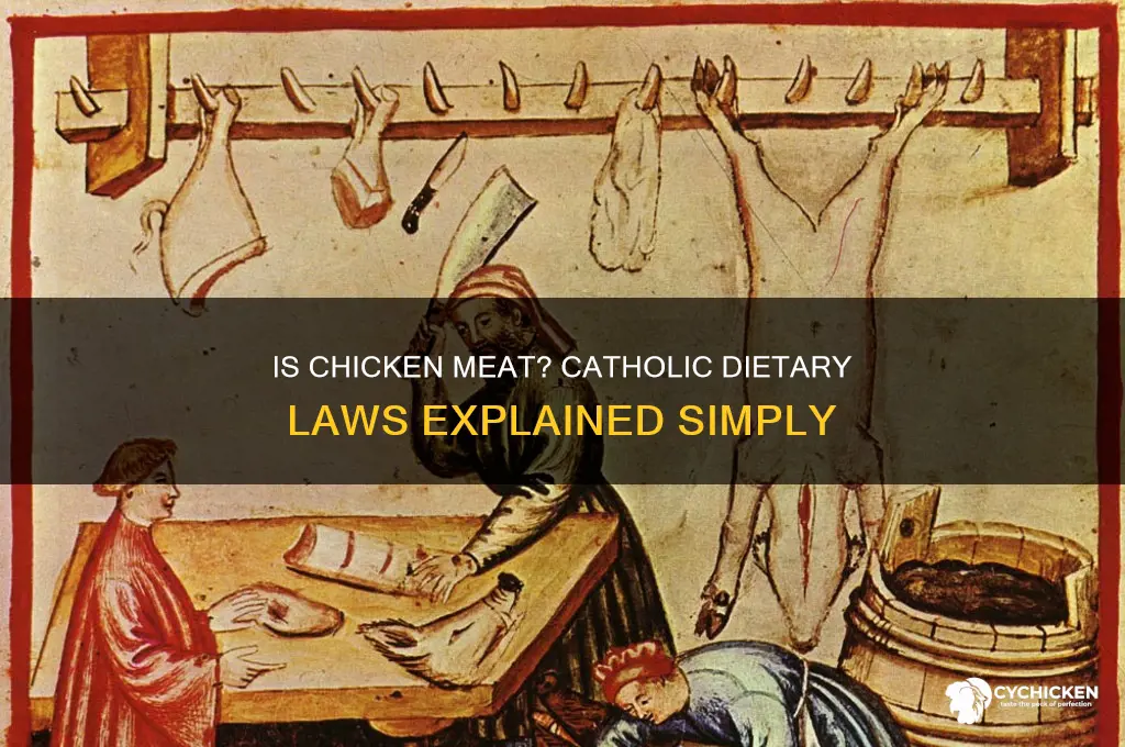 is chicken considered meat in catholic religion