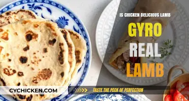 Is Chicken Delicious Lamb Gyro Real Lamb? Unraveling the Mystery