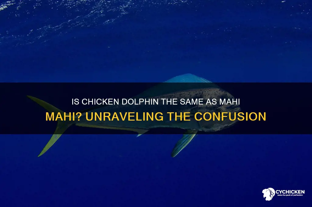 is chicken dolphin same as mahi mahi