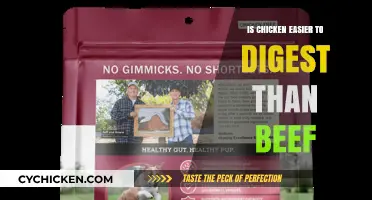 Chicken vs. Beef: Which Protein is Easier on Your Digestive System?