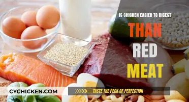 Chicken vs. Red Meat: Which is Easier on Your Digestive System?