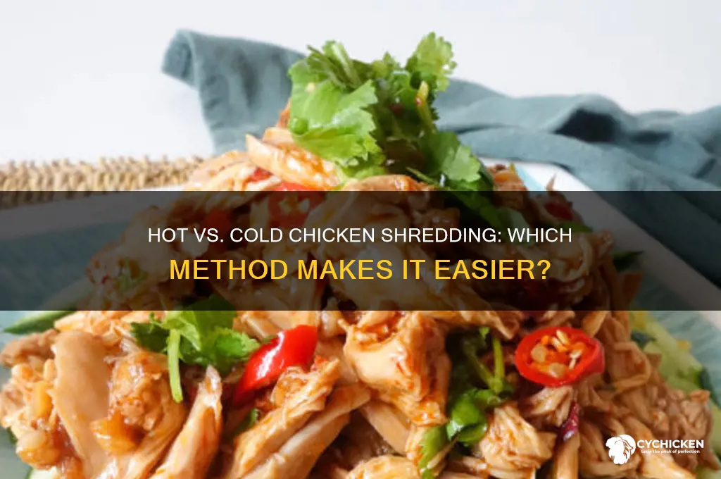 is chicken easier to shred hot or cold