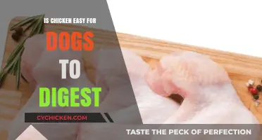 Can Dogs Digest Chicken Easily? A Comprehensive Guide for Pet Owners