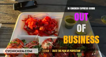 Is Chicken Express Closing? Analyzing the Rumors and Financial Outlook