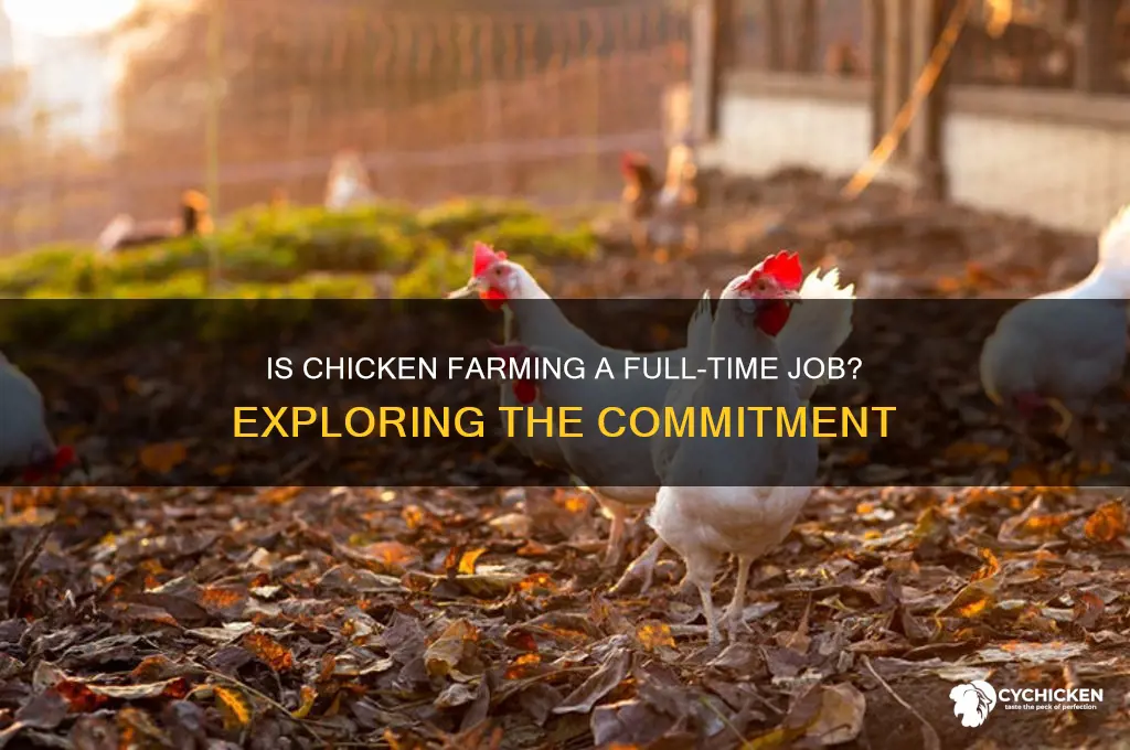 is chicken farming a full time job