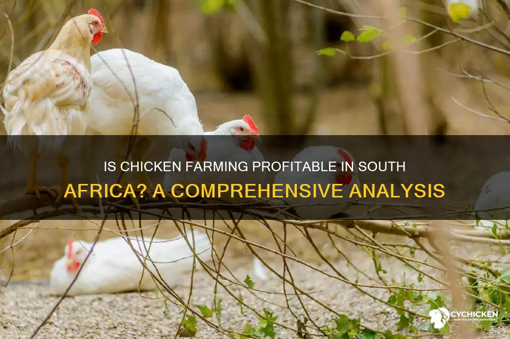 is chicken farming profitable in south africa