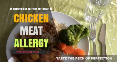 Chicken Fat and Meat Allergies: Are They the Same?