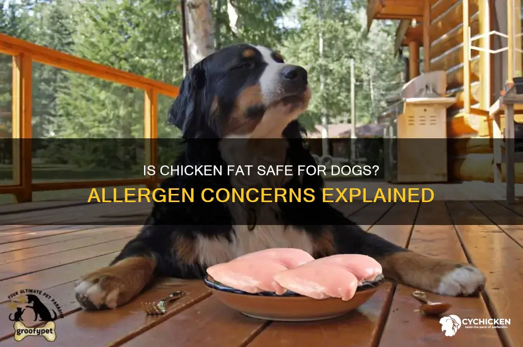 is chicken fat an allergen for dogs