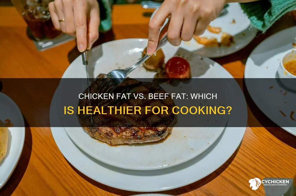 is chicken fat better than beef fat