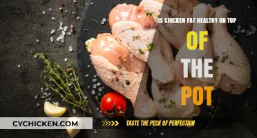 The Truth About Chicken Fat: Healthy or Not on Top of the Pot?