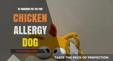 Chicken Fat and Allergic Dogs: Safe or Risky for Your Pet?