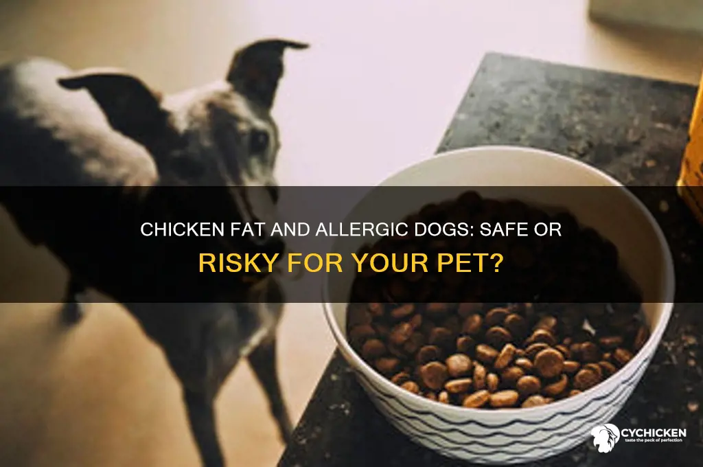 is chicken fat ok for chicken allergy dog