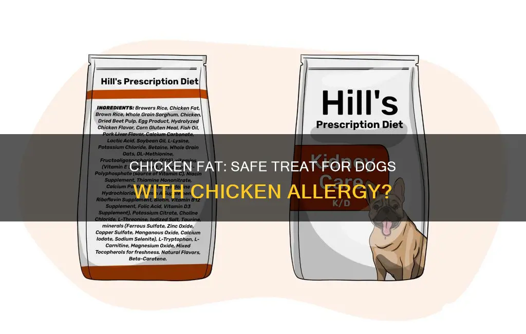is chicken fat ok for dogs with chicken allergy