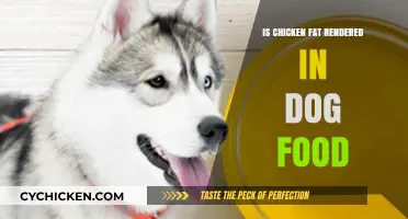 Is Chicken Fat in Dog Food Safe and Nutritious?
