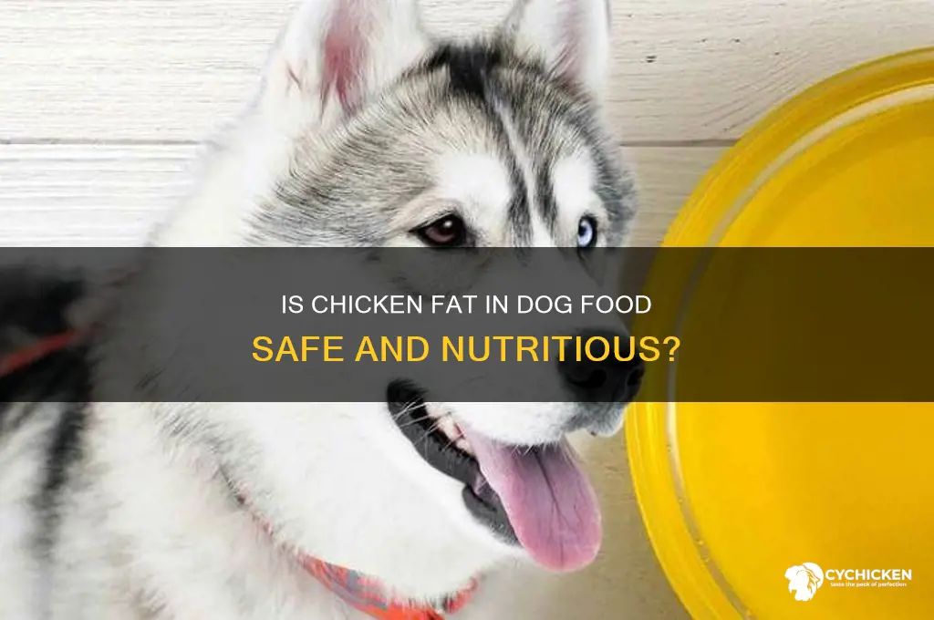 is chicken fat rendered in dog food