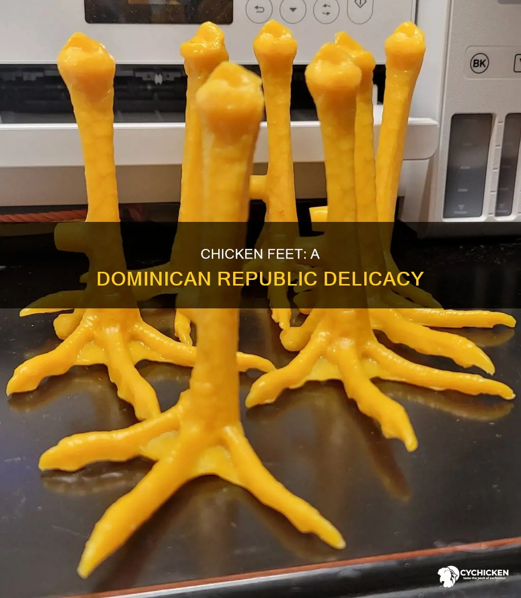 is chicken feet a common dish in dominican republic