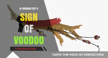 Chicken Feet and Voodoo: Unraveling the Mystical Connection and Symbolism