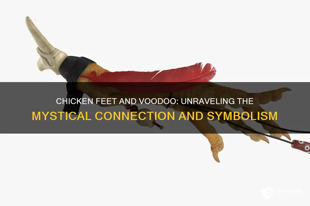 is chicken feet a sign of voodoo