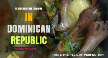 Exploring Dominican Cuisine: Are Chicken Feet a Common Delicacy?