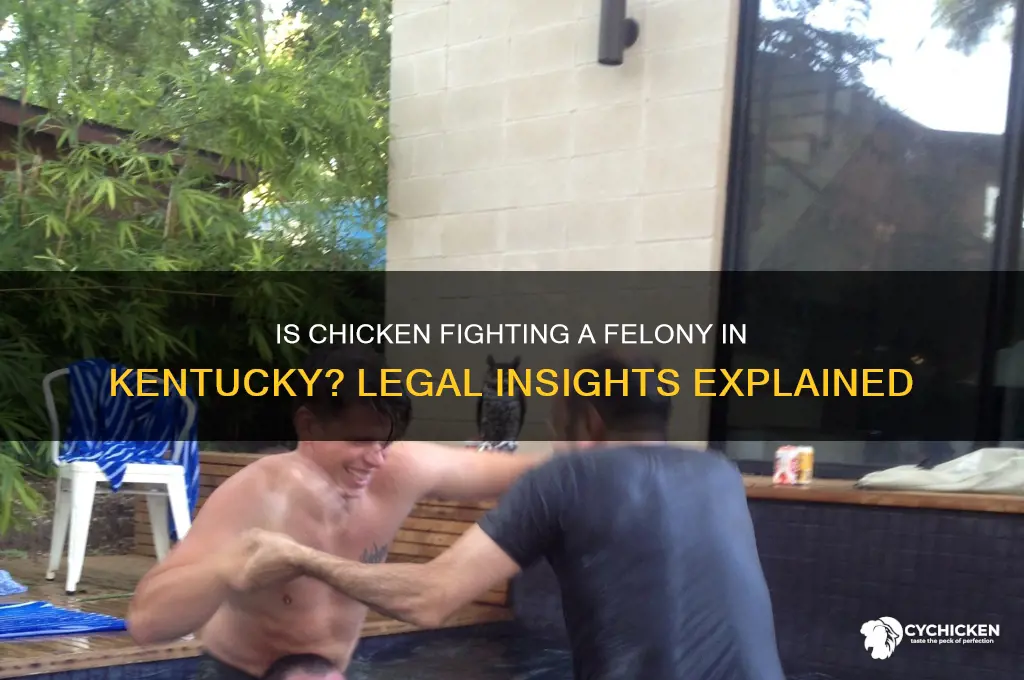 is chicken fighting a felony in ky