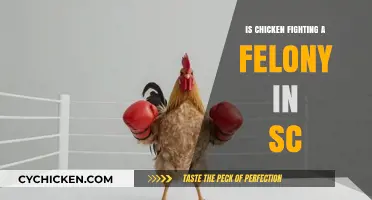 Is Chicken Fighting a Felony in SC? Legal Insights