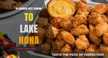 Chicken Filet in Lake Nona: Rumors, Updates, and What’s Next