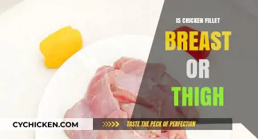 Chicken Fillet: Breast or Thigh? Understanding the Difference